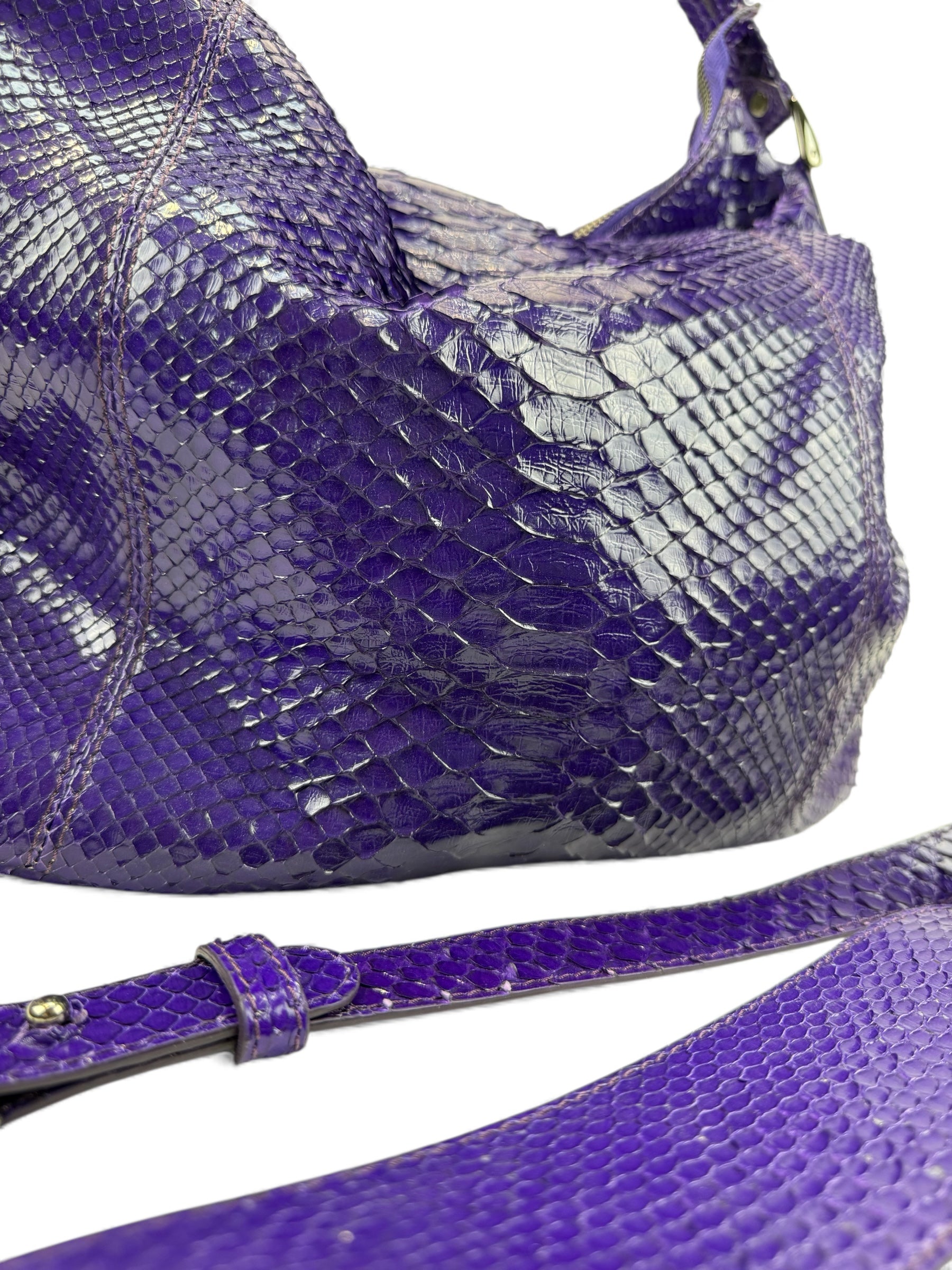 Petra Python Shiny Lila